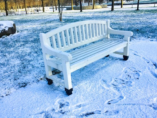 Park Winter Benches