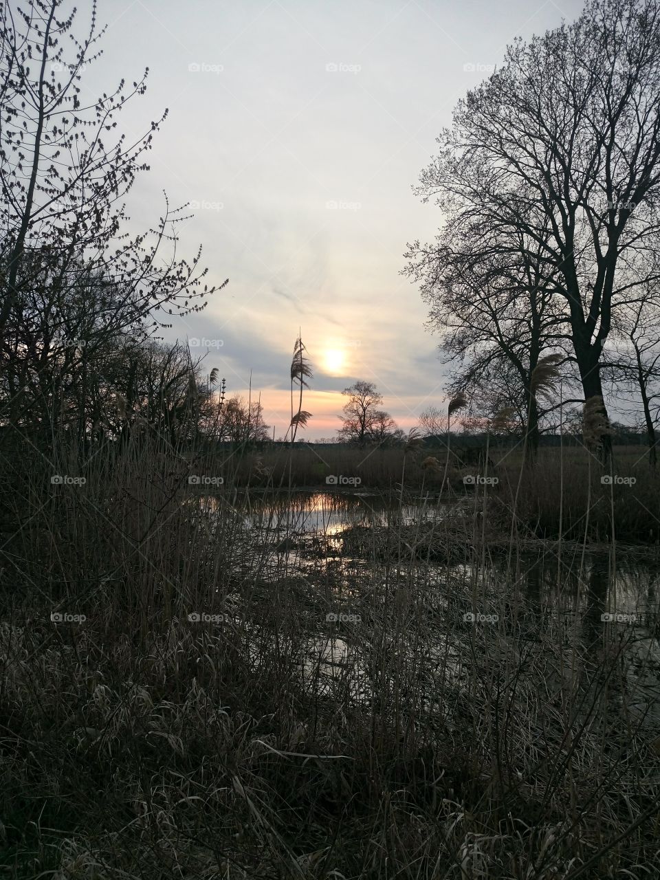 polish nature | river pools and sunset