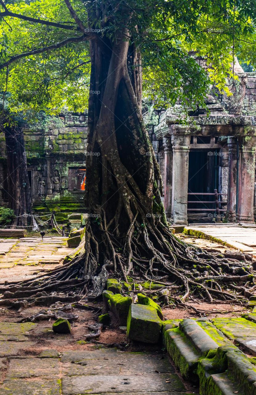 One old Khmer Temple at the Angkor historical Archaeology Park in Siem Reap Cambodia Southeast Asia