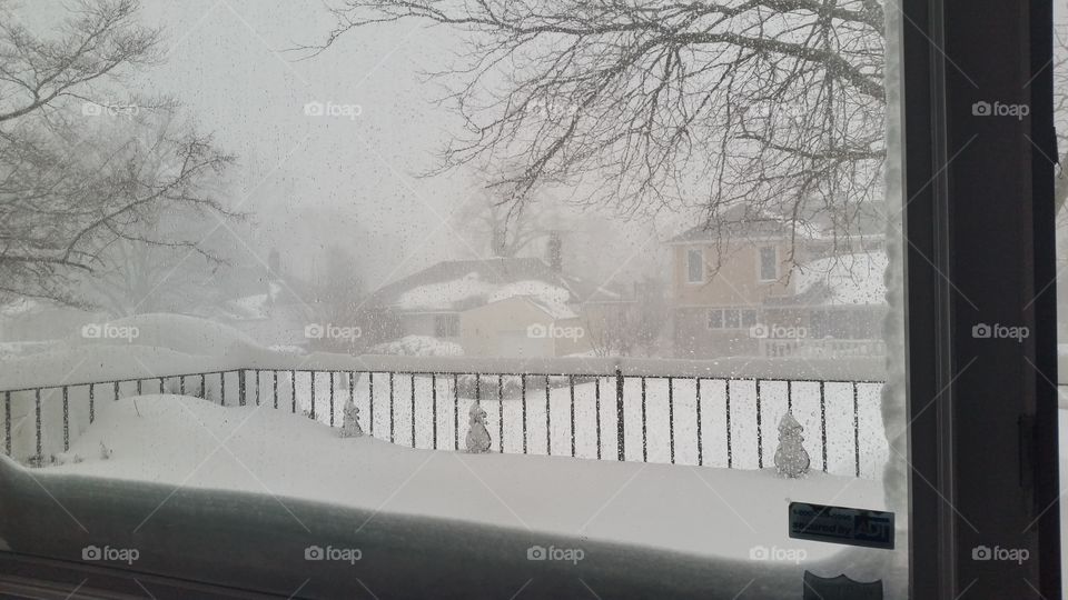 Snow, Winter, Fog, Frost, Weather