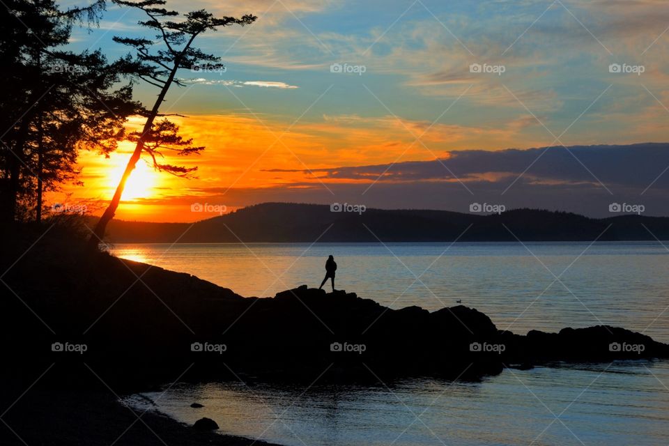 Sunset silhouette 