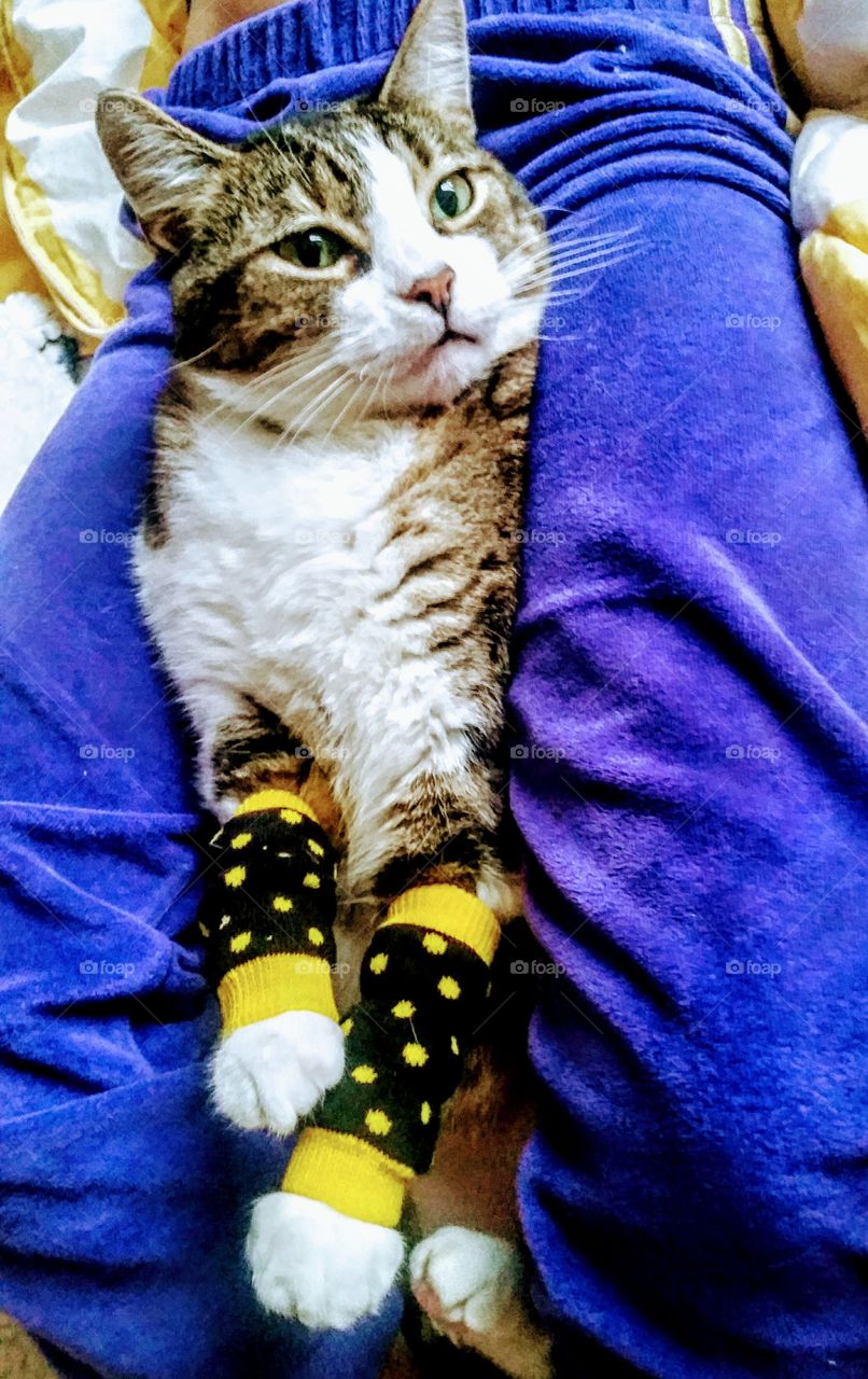 ....especially when it's paws-itively unique!