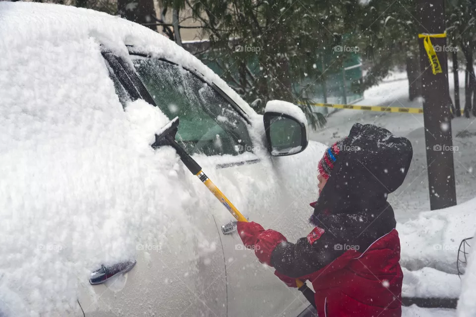 Snow, Winter, Cold, Ice, Snowstorm