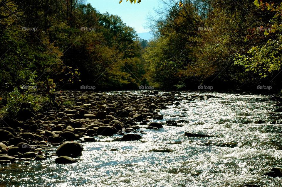 Tennessee River