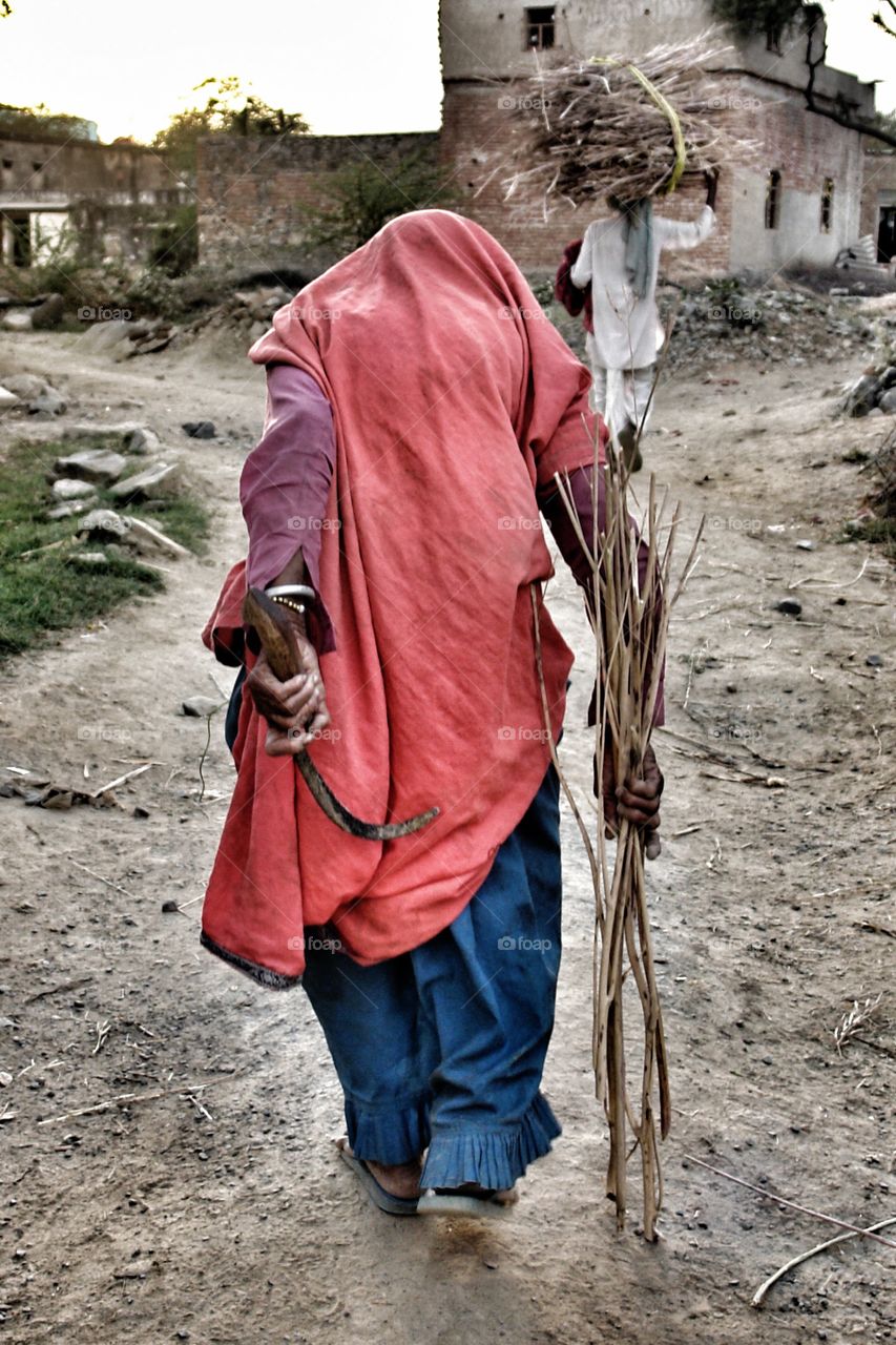 Sickle lady . Old lady walks home after working in the fields 