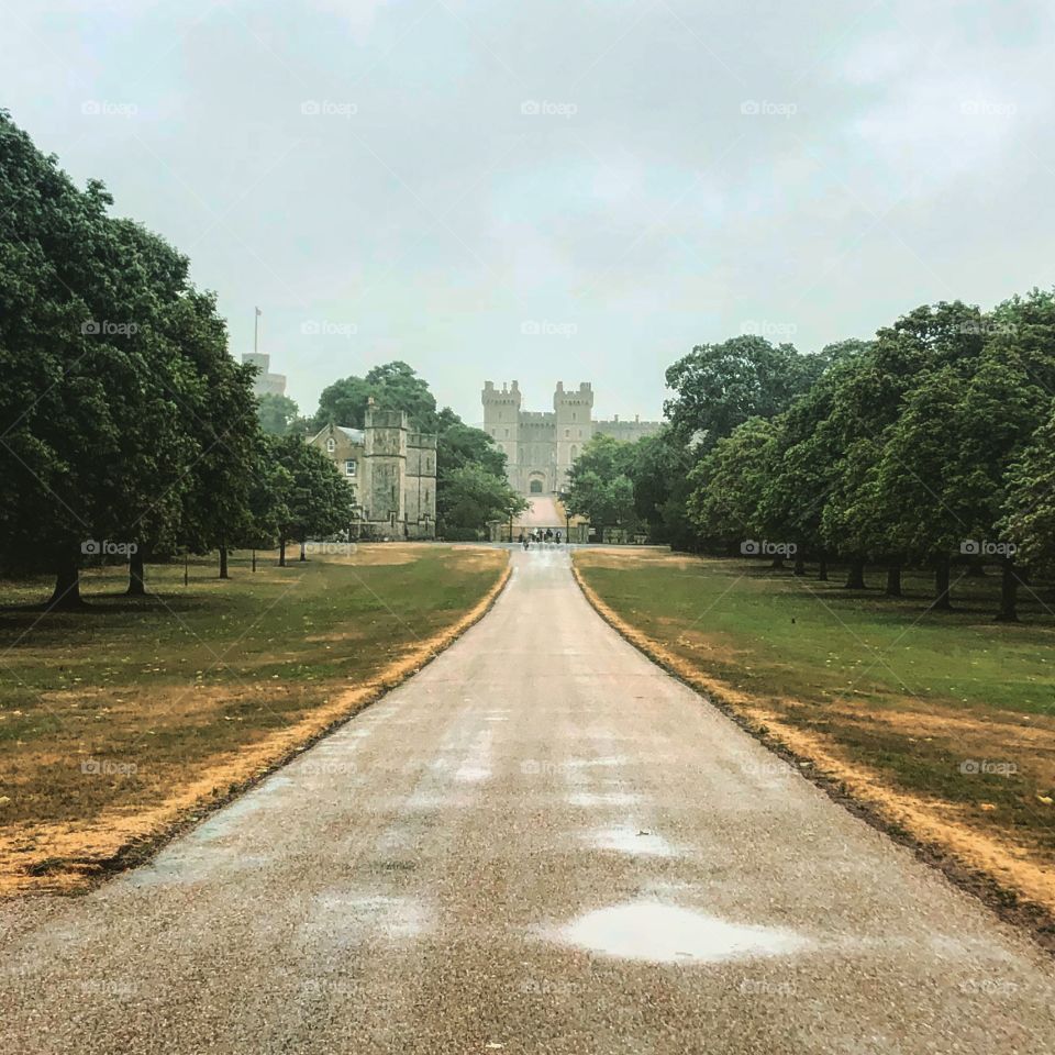 Windsor castle 