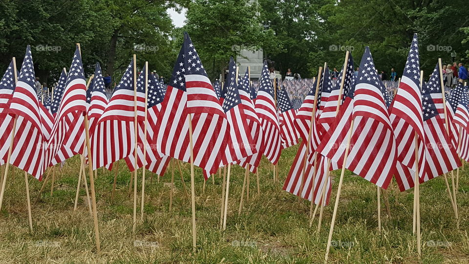 Memorial day Boston Commons