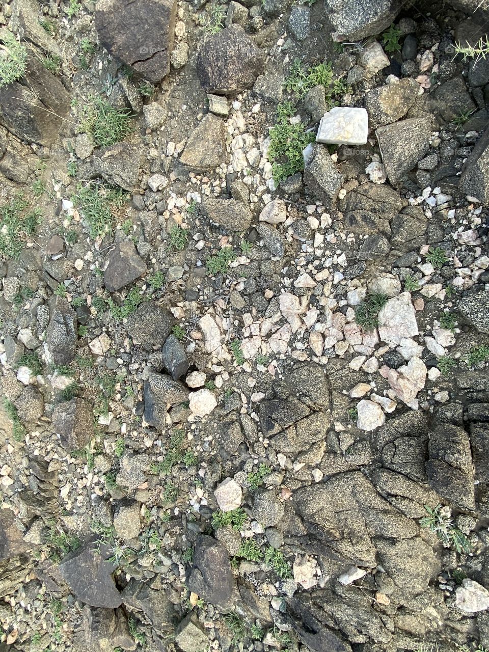 Amazing photo for desert 🌵