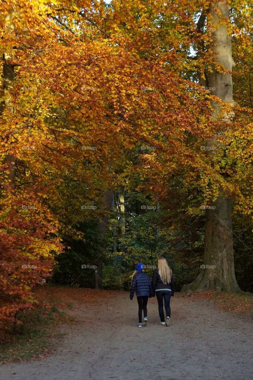 Walking the woods