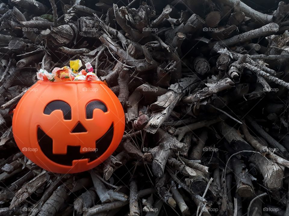 Trick or treat in the woodshed