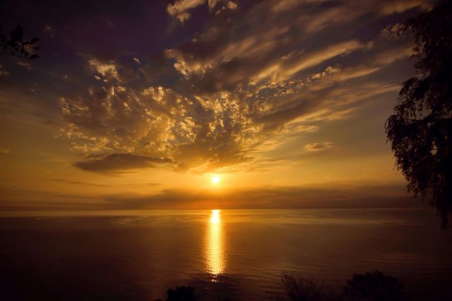 Golden Sunrise.... 