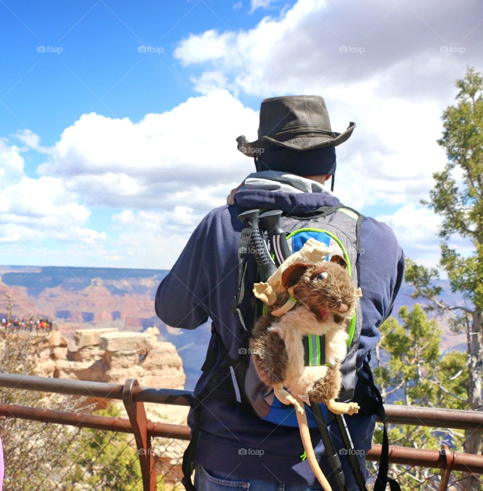 Tourist at the Grand Canyon