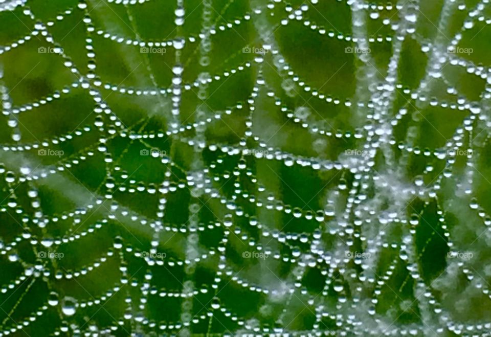 Dew strands 