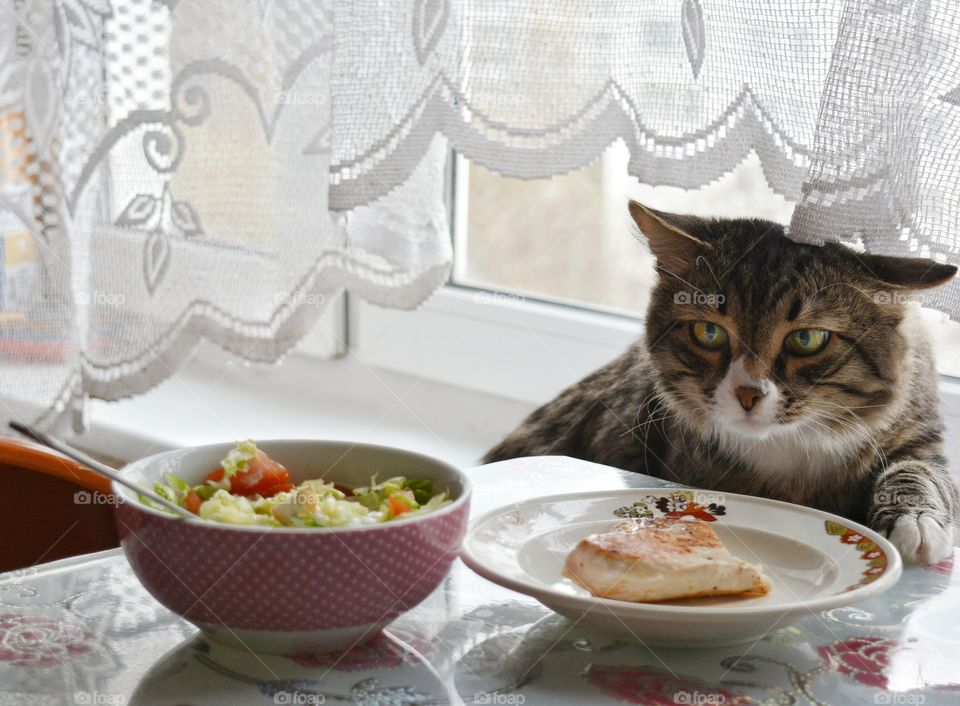 Food, Domestic, Meal, Dinner, Plate