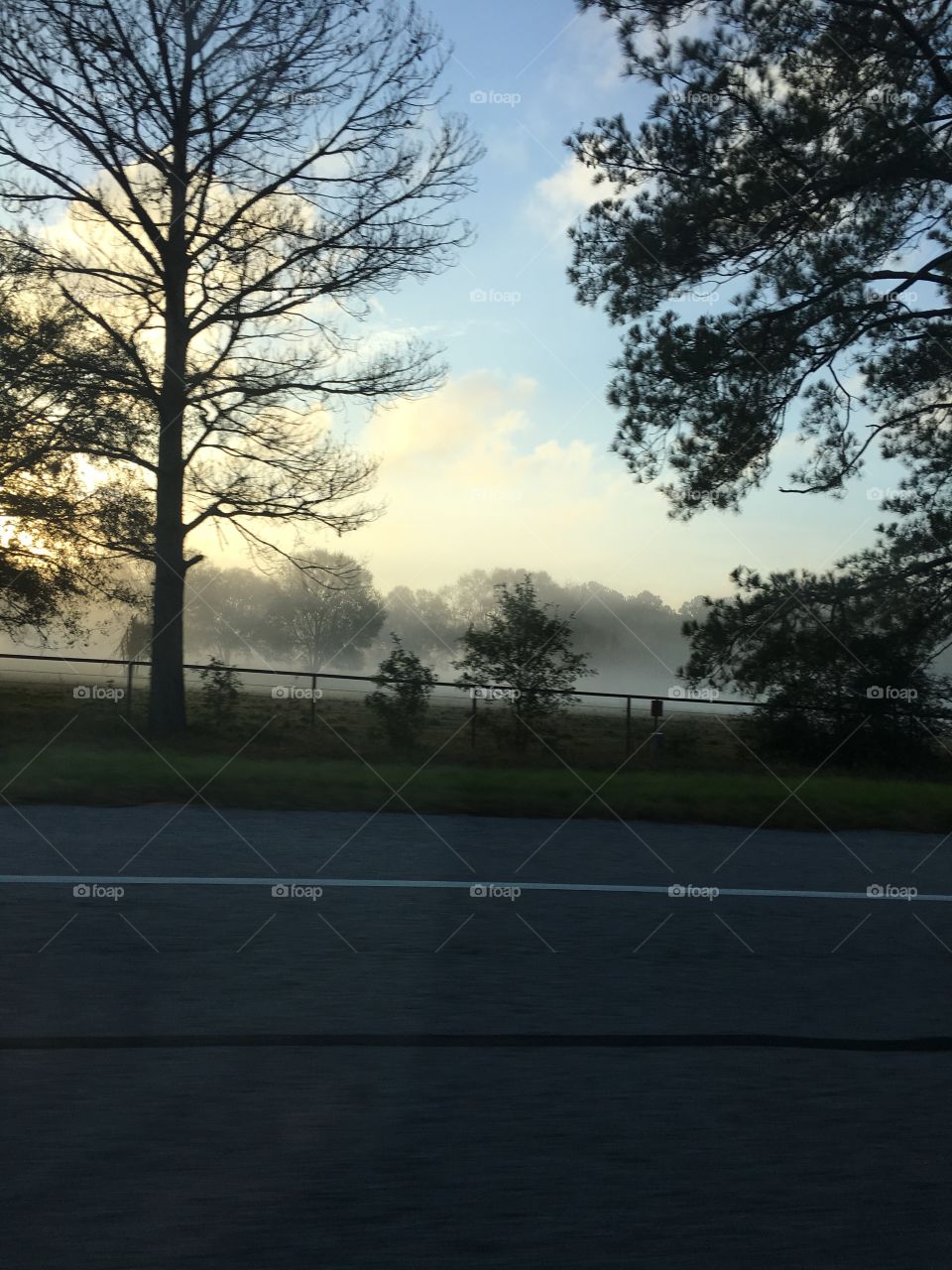 Sunrise fog