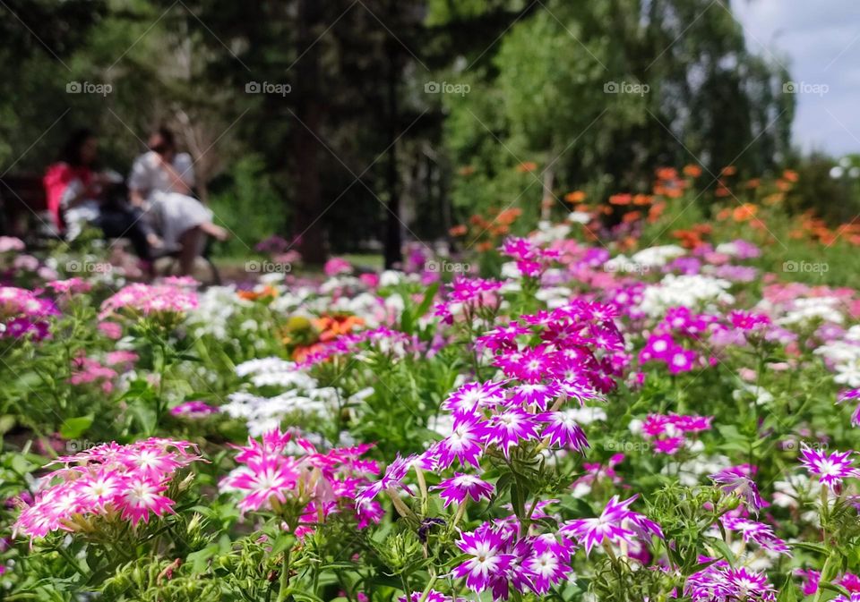 в городском парке