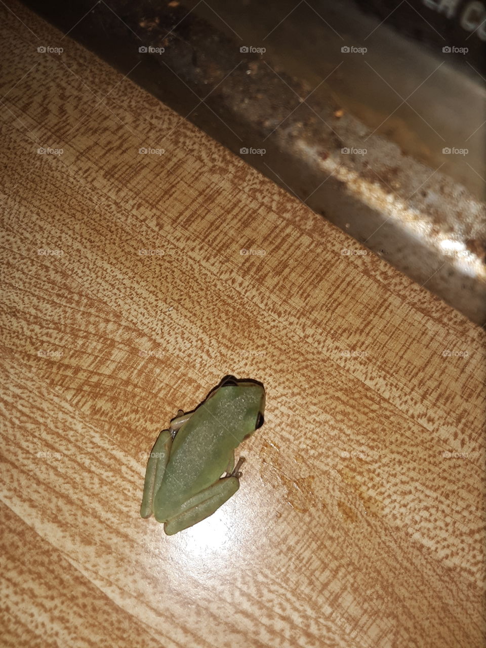 breakfast in gulf hammock