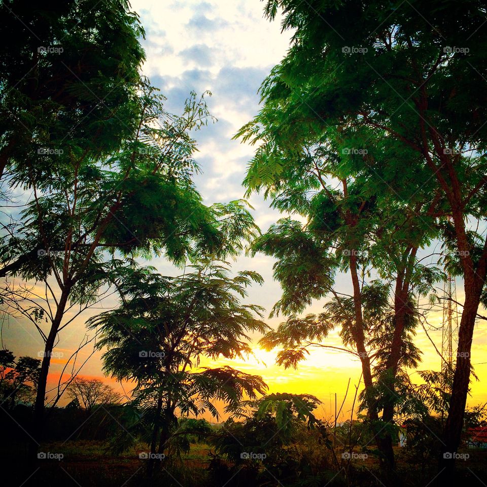 🌅Desperta, #Jundiaí!
Ótima e bela 5a feira para todos.
🍃
#sol
#sun
#sky
#céu
#photo
#nature
#manhã
#morning
#alvorada
#natureza
#horizonte
#fotografia
#paisagem
#inspiração
#amanhecer
#mobgraphy
#FotografeiEmJundiaí