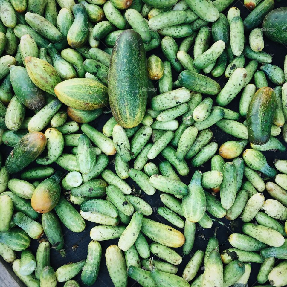 Vegetable, Food, Texture, Desktop, Nature