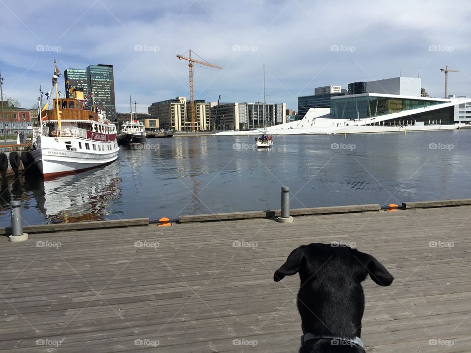 Dana. Danas first trip to the city ;) Oslo ! 