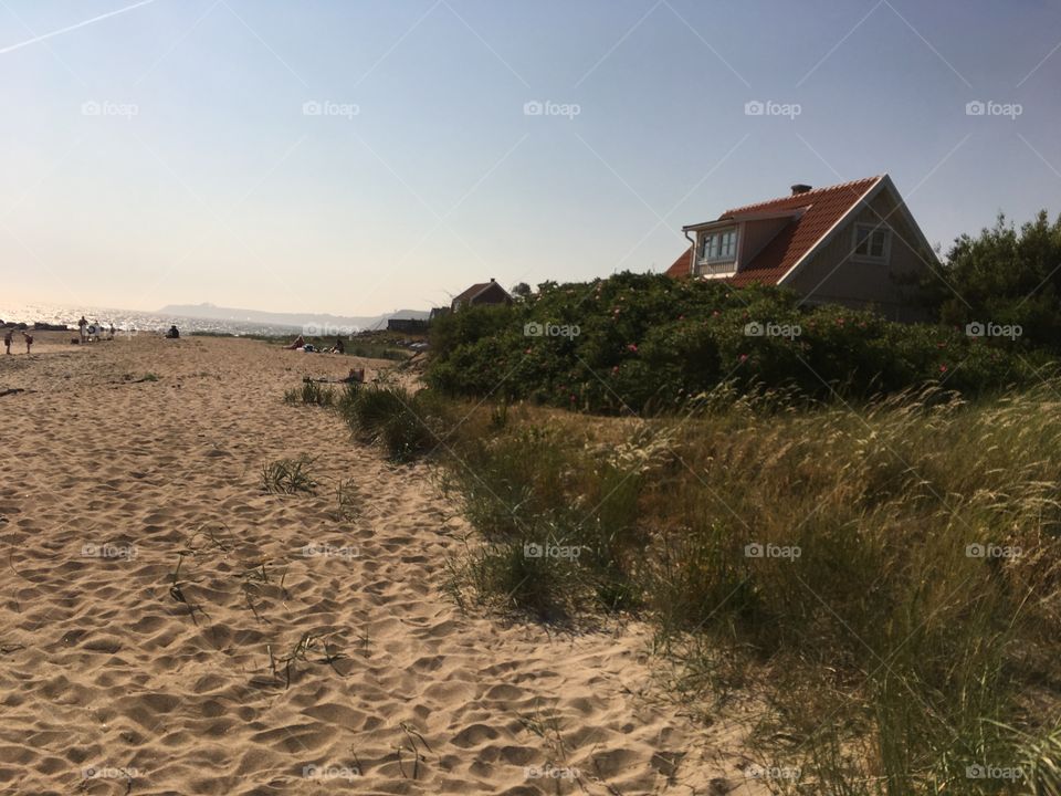 sunny day at the beach