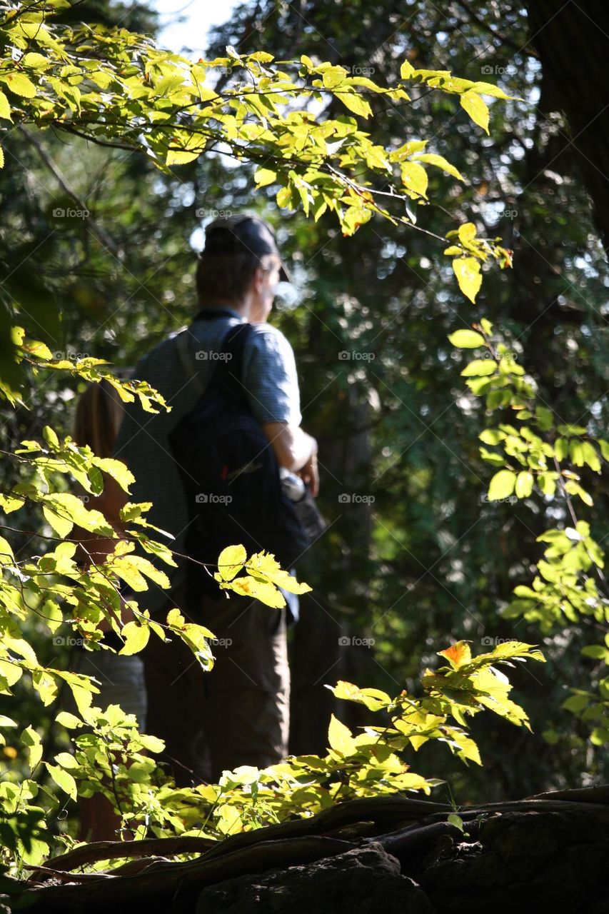 On a hike in a forest