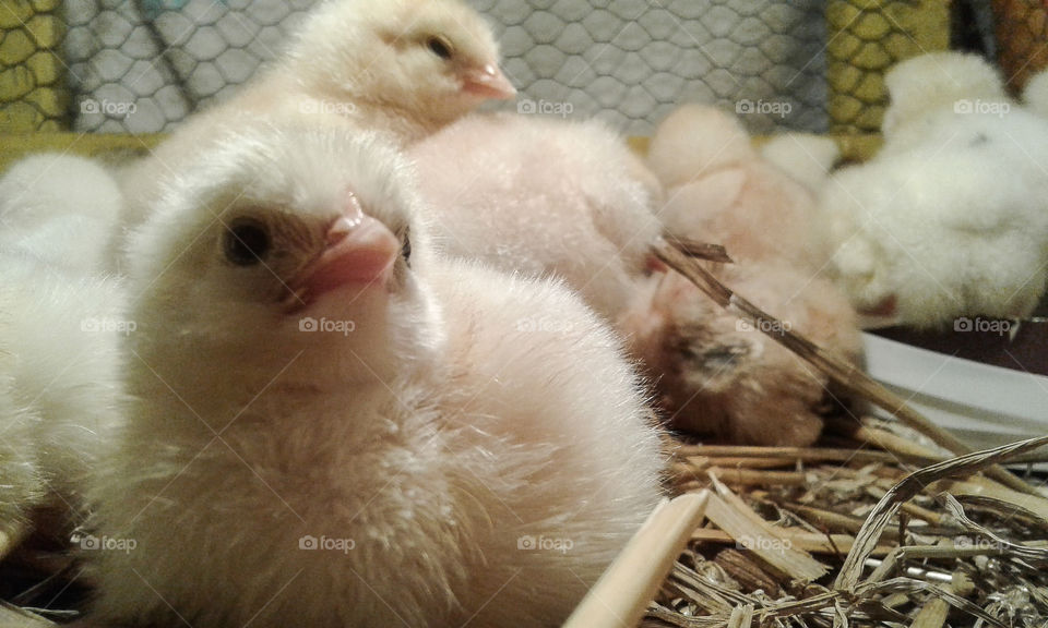 up to the skyes...look up and be positive