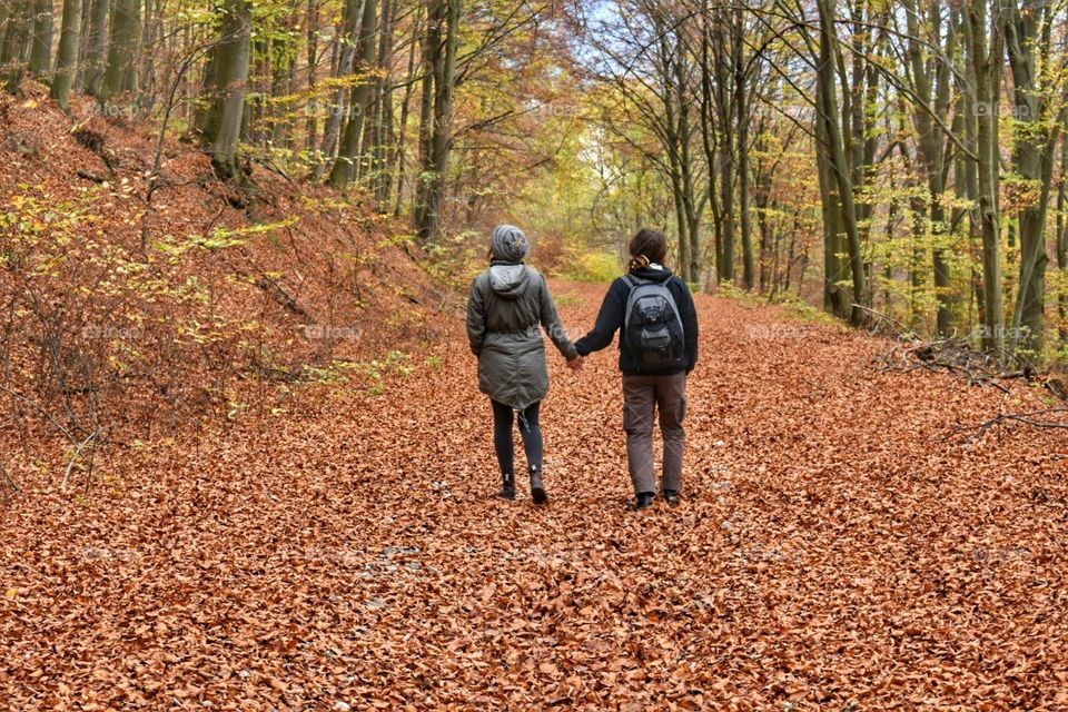 Walking in the forest