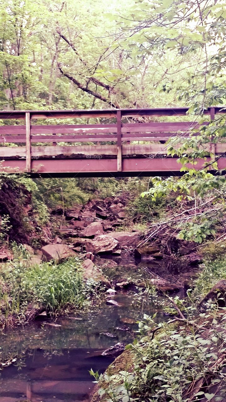 bridge. Devils Lake trails