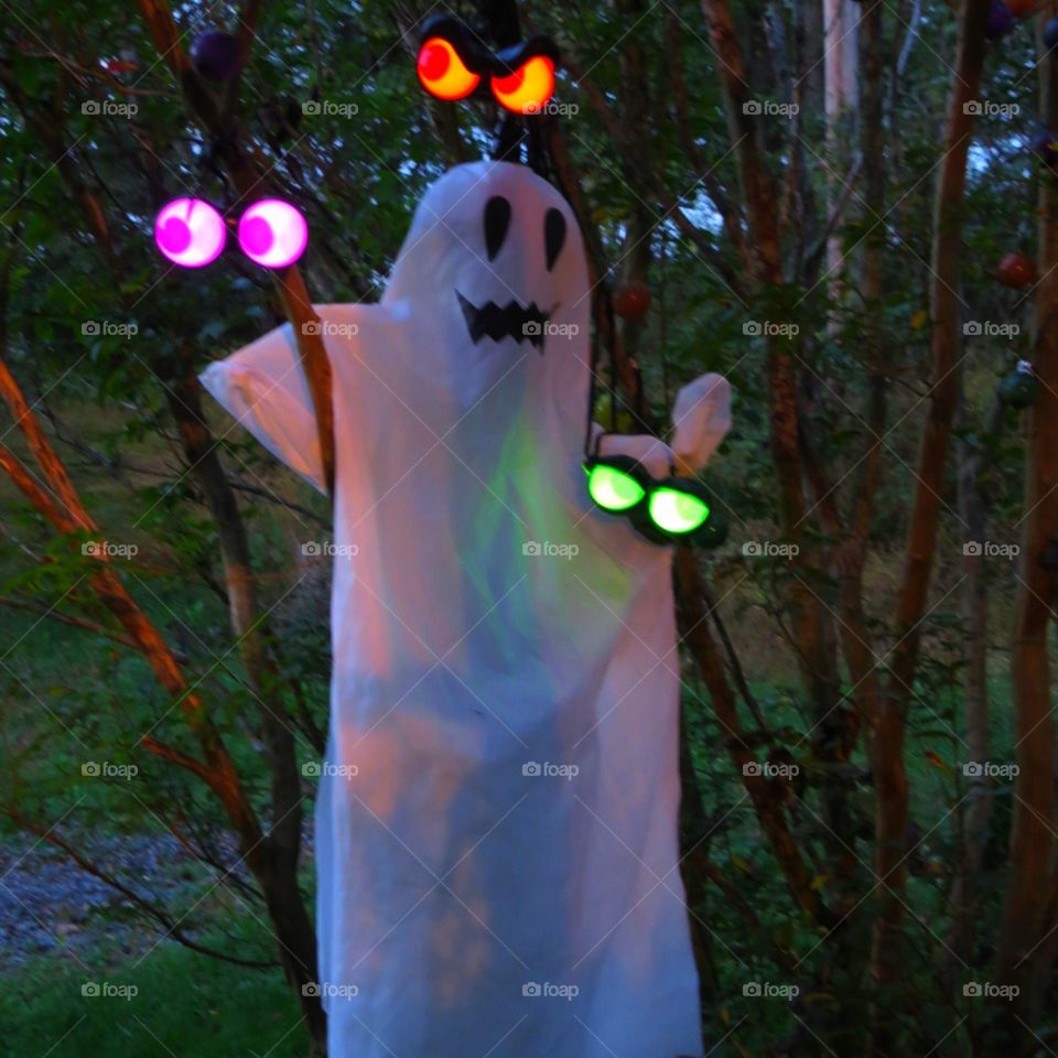 Ghost in a tree with peeping eyes.