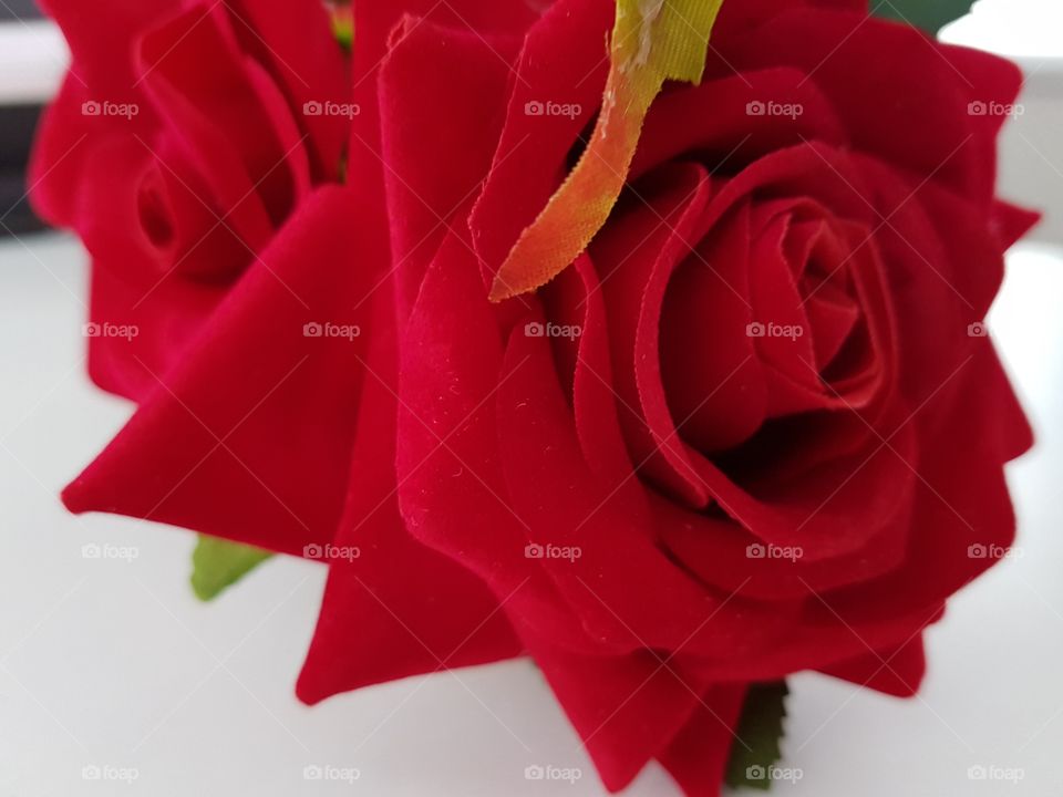 Decoration rose