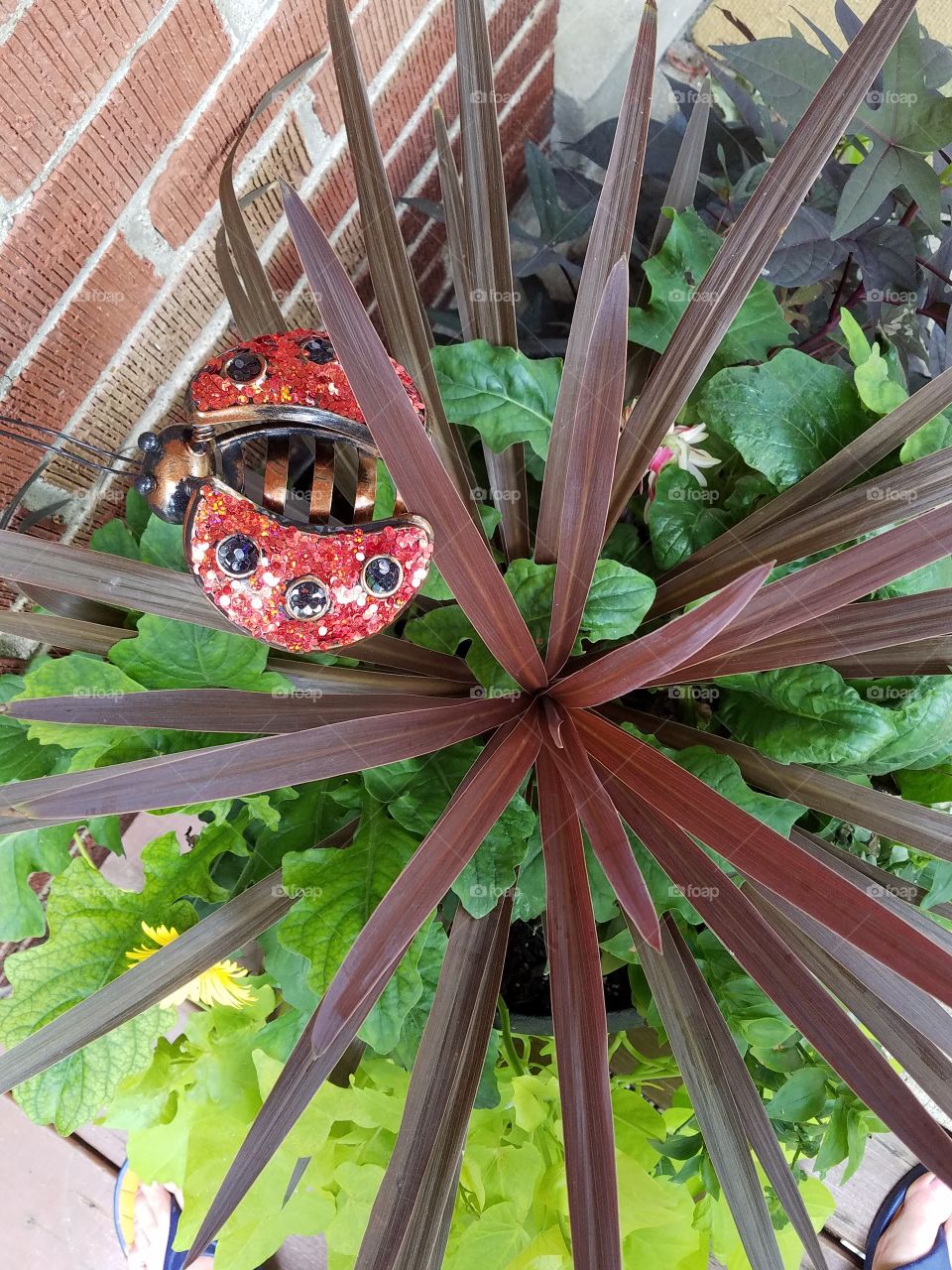plant with sequined  ladybug