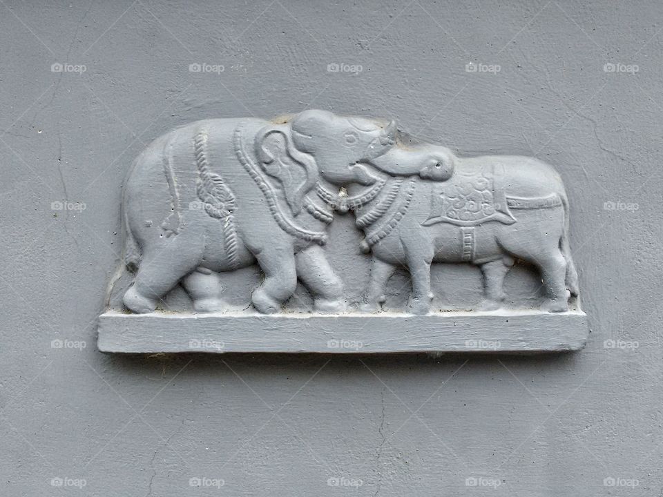 ELEPHANT & COW