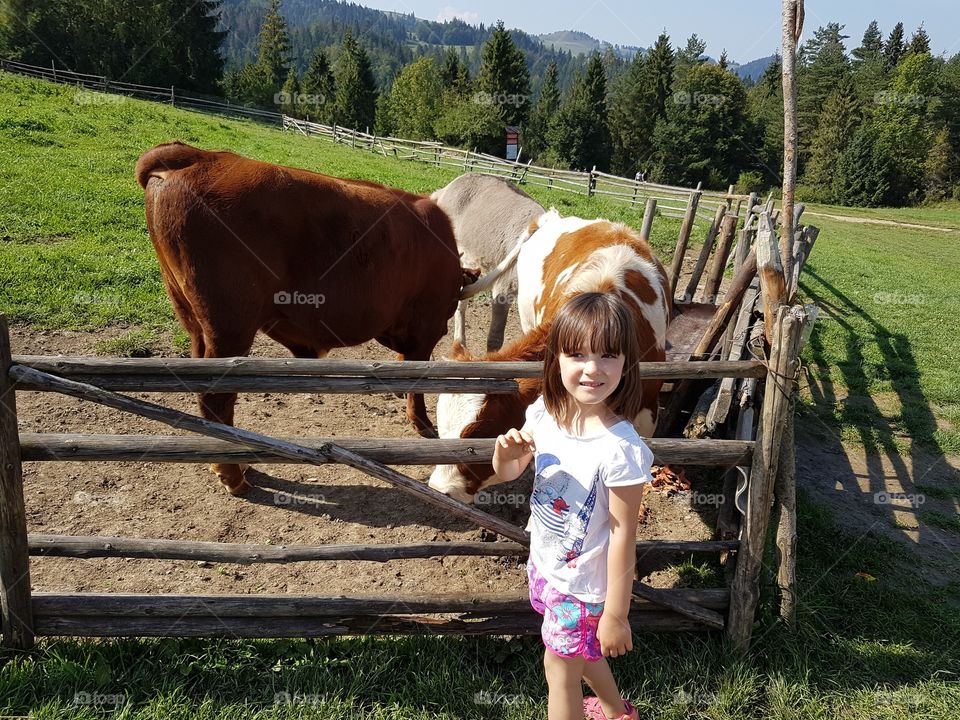 Julia playing with animals 