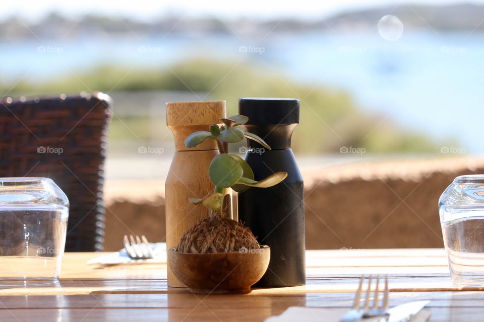 Creative earthy plant pot growing succulent cactus in grape vine ball, outdoor table setting overlooking ocean, wood salt pepper grinders shakers concept dining, outdoors, patio, table setting, wooden wear, rustic modern place