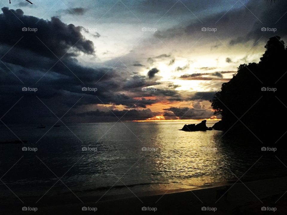 Silhouette of trees during sunset