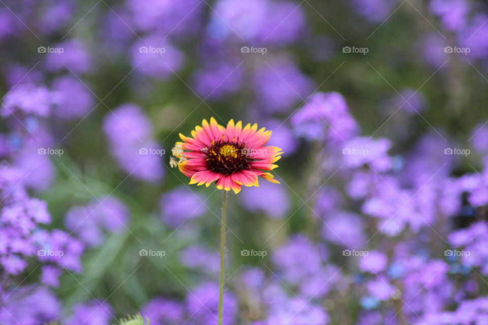 Standing out in a crowd 