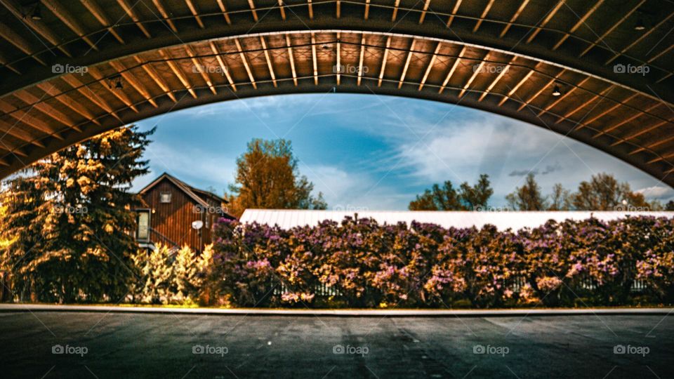 Peak out of metal cover