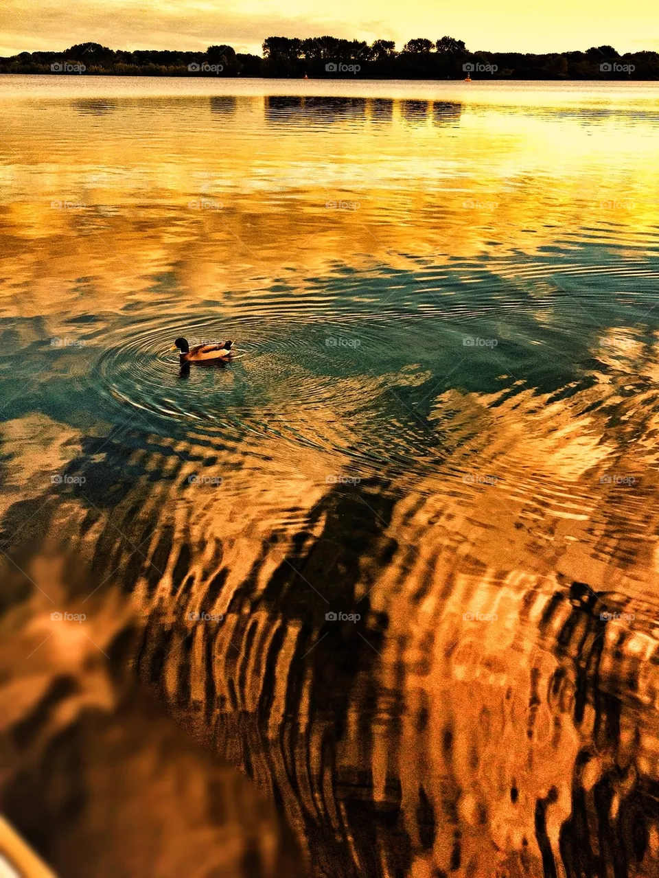water