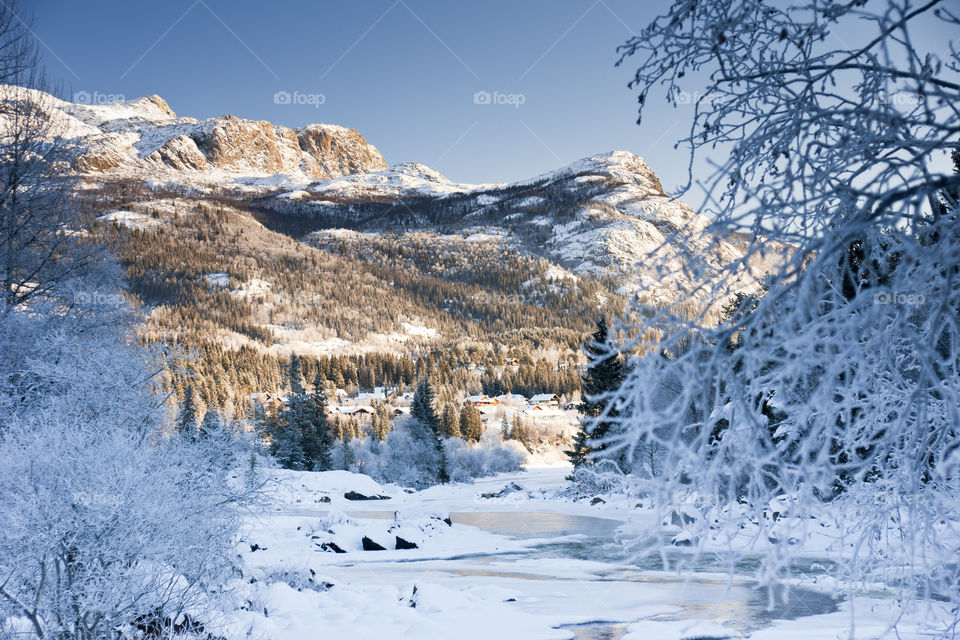 Beautiful winter landscape 