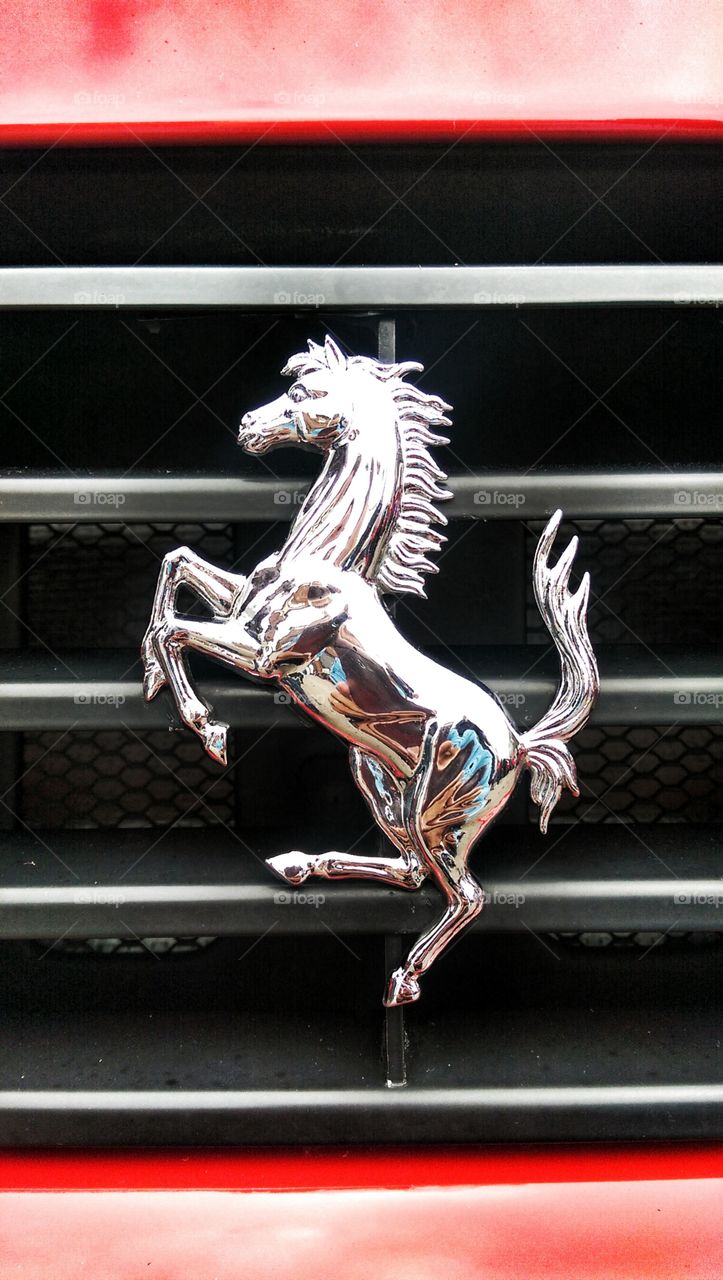 Ferrari horse