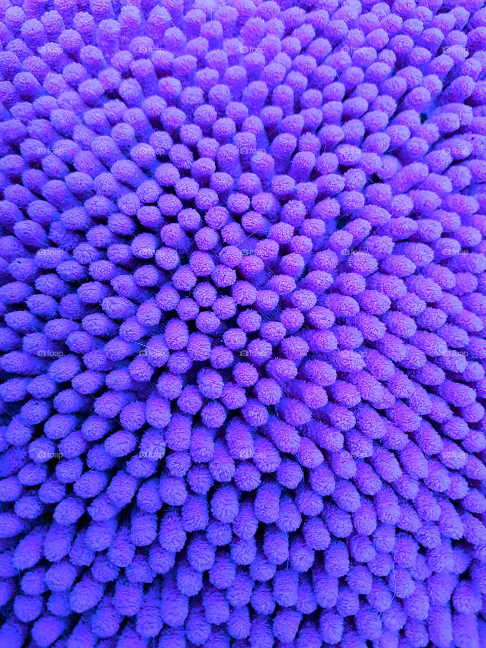 Purple Carpet