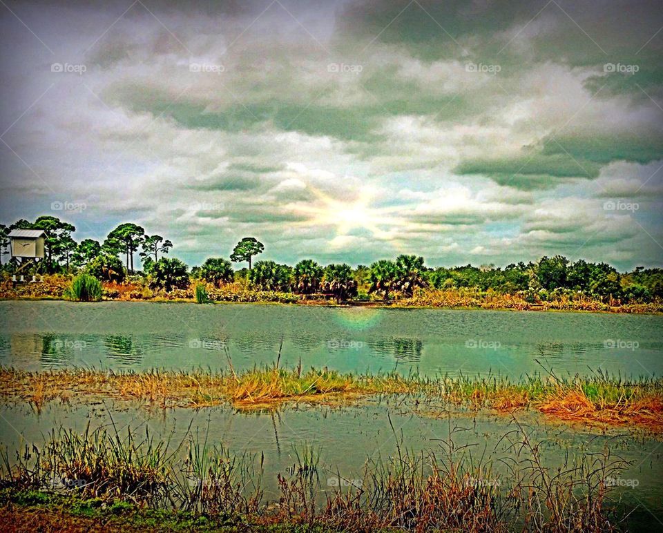 Wetlands