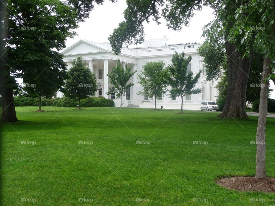 White House 