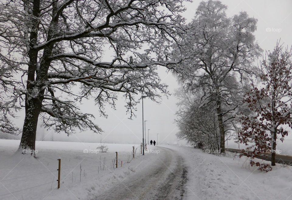 Winter road