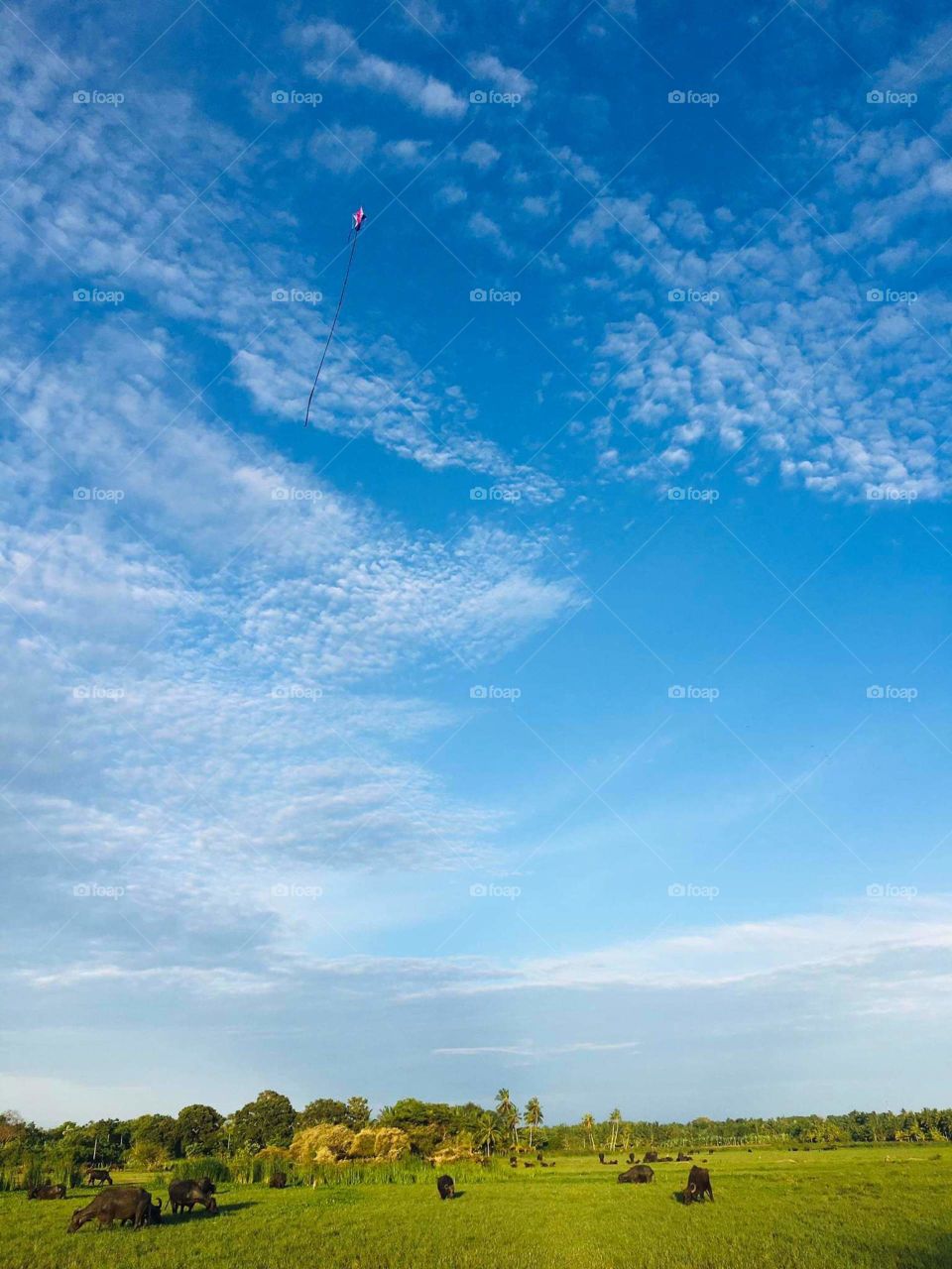 a place where the mind is relaxed😌🖤