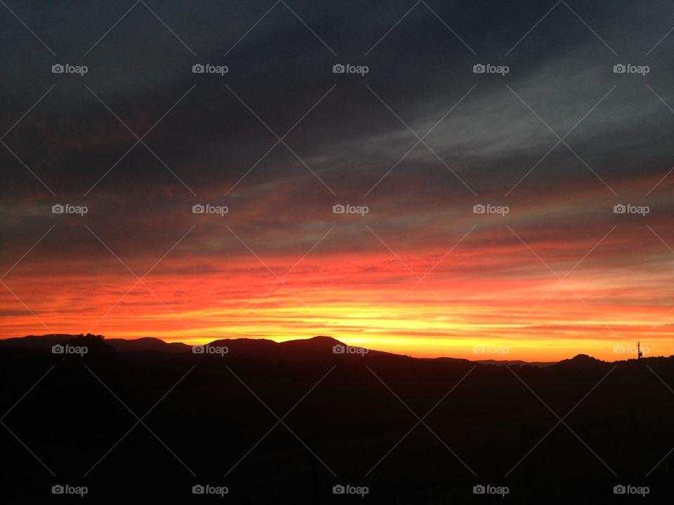 Scenic view of nature