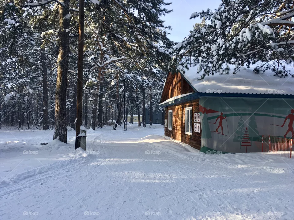 Nature, snow