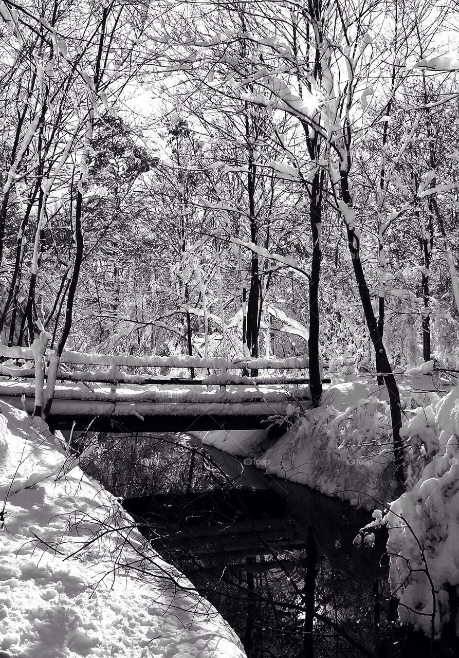 Winter bridge 