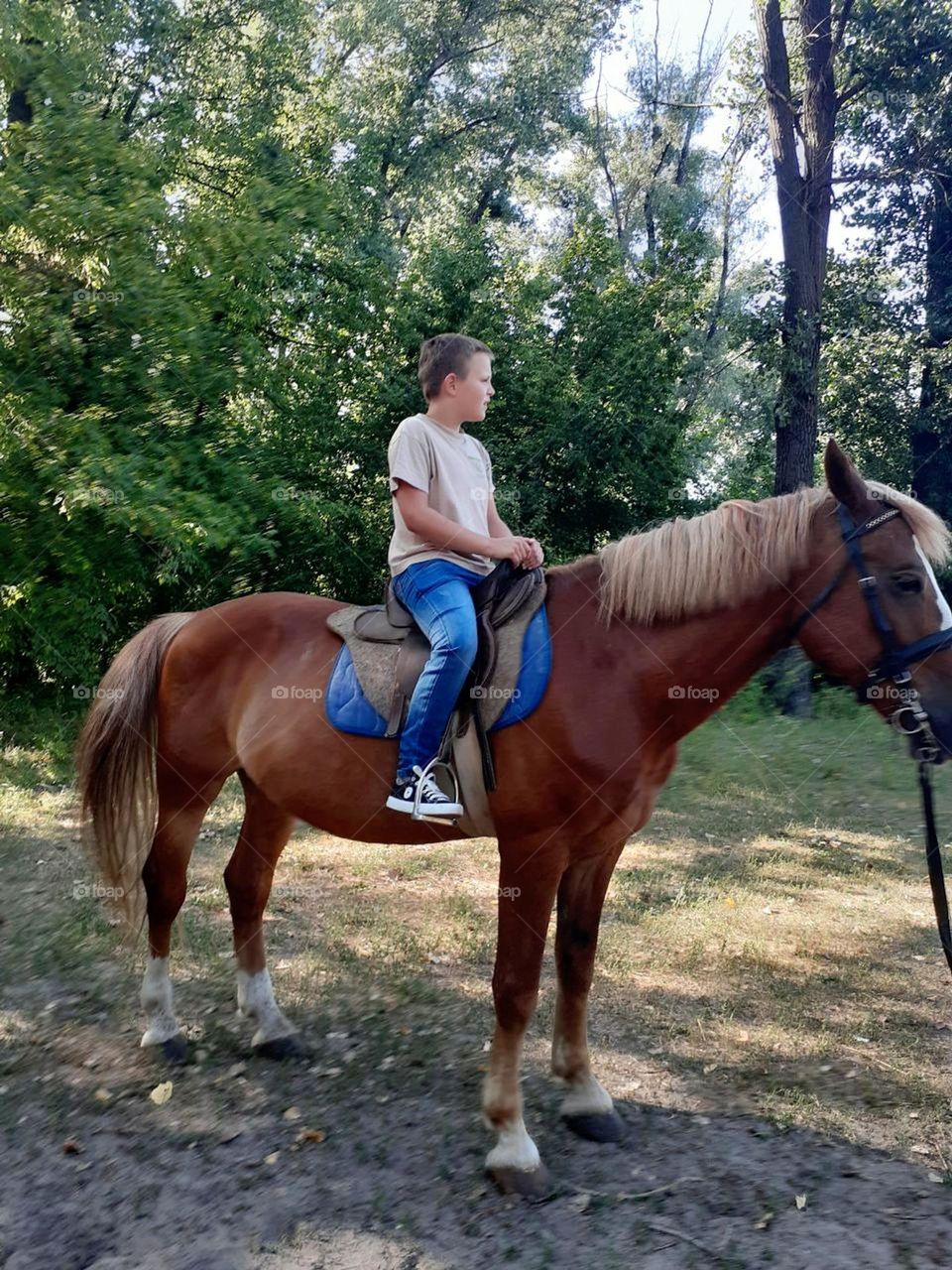 A child's first ride on a horse